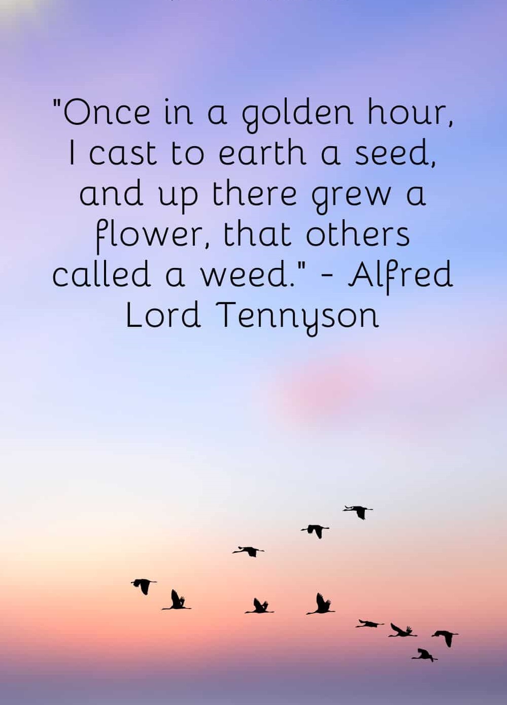 Top 20 Golden Hour Quotes