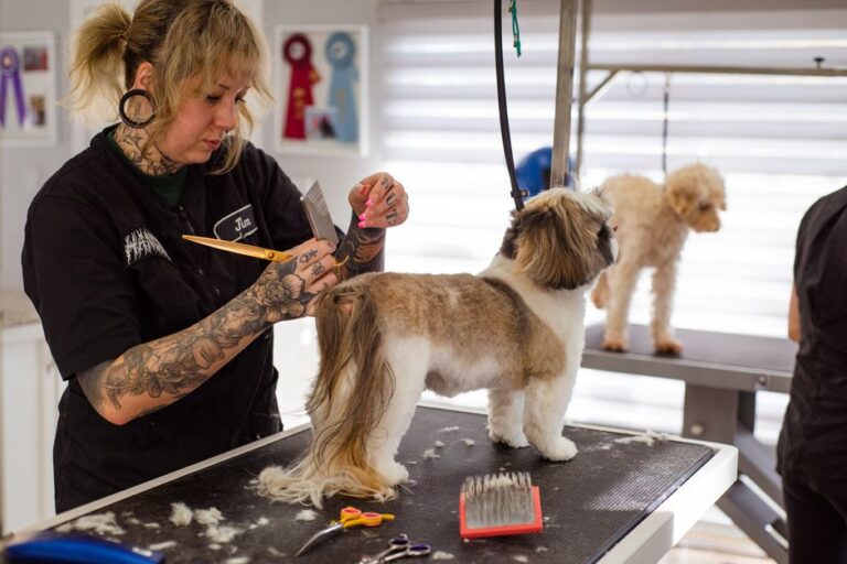 peluquería canina cerca