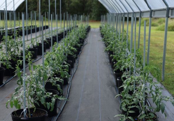greenhouse equipment