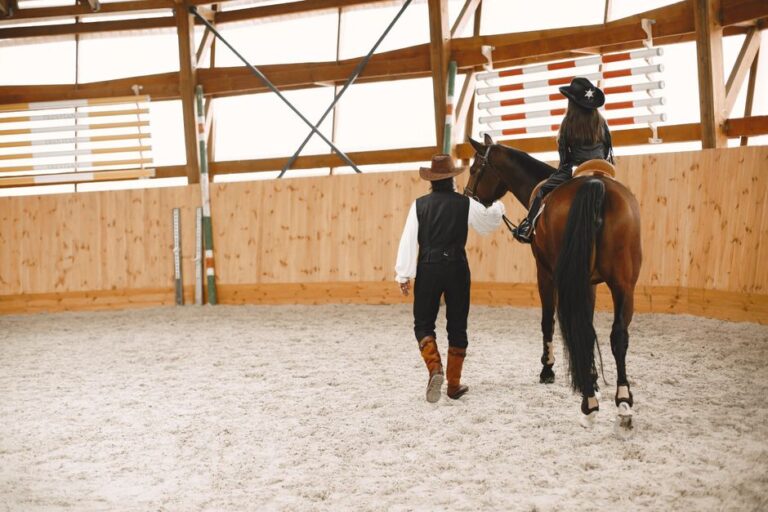 horse riding lessons