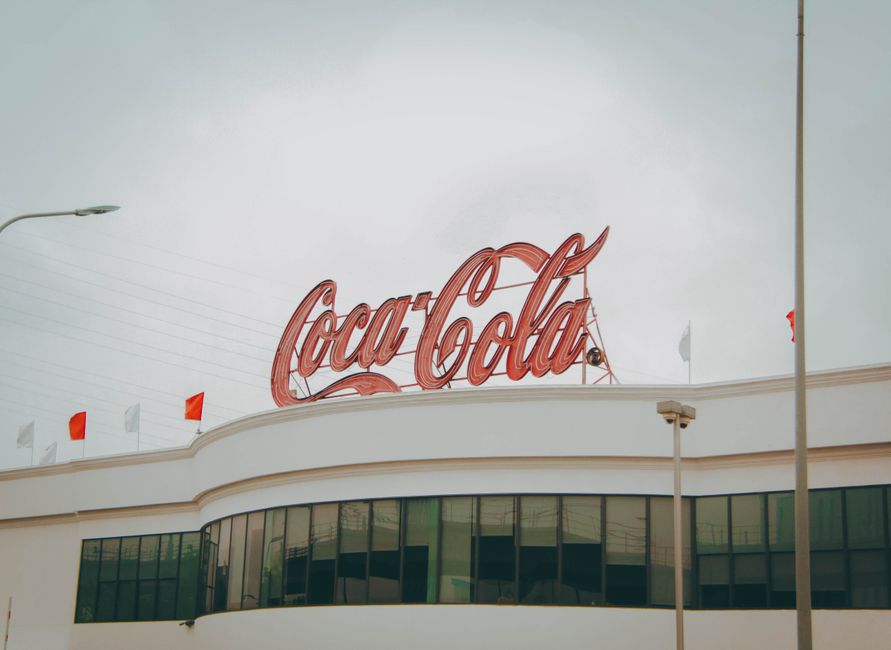 vinyl sign company